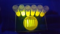Expression of fluorescent protein CreiLOV in E. coli under five novel different Ligalactobacillus agilis La3 promoters I identified and constructed during my PhD. Performed at RMIT University for article: https://doi.org/10.1128/AEM.00392-21