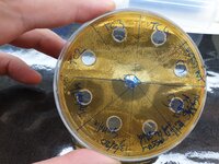 Inhibition of a Lactoplantibacillus isolate to mutants from the plantacyclin bacteriocin. For article: https://doi.org/10.1038/s41598-020-74332-1