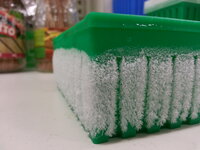 Ethanol + dry ice (ethanol bath) to snap-freeze electrocompetent cells I made during my PhD at CSIRO. For article: https://doi.org/10.1128/AEM.00392-21