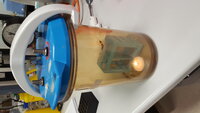 Anaerobic jar used to grow anaerobic bacteria. A candle is used to deplete oxygen. I used to work a lot with Lactabacillus and Clostridial species