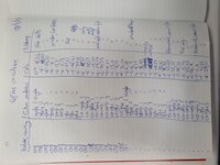 Cell counting I did after two-strain co-cultures to study K. pneumoniae metabolism. Performed at The Department of Infectious Diseases, Monash University. For article: https://doi.org/10.1371/journal.pbio.3003559