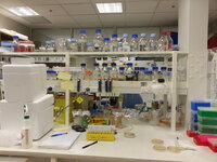 My first lab bench at CSIRO!