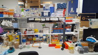 My third lab bench at RMIT University!
