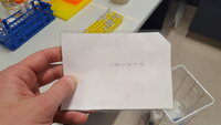 The first time I got a successful Western blot recombinant NetB from the chromosome of Ligalactobacillus agilis La3.